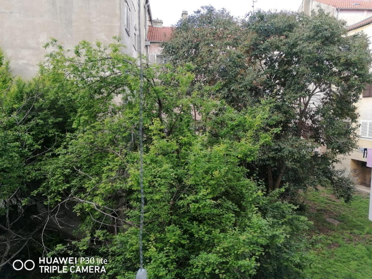 Apartment Linda - Zadar City Center Экстерьер фото